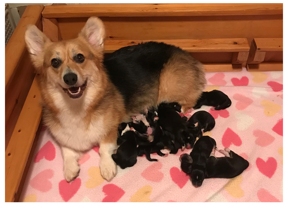 Marti with her babies